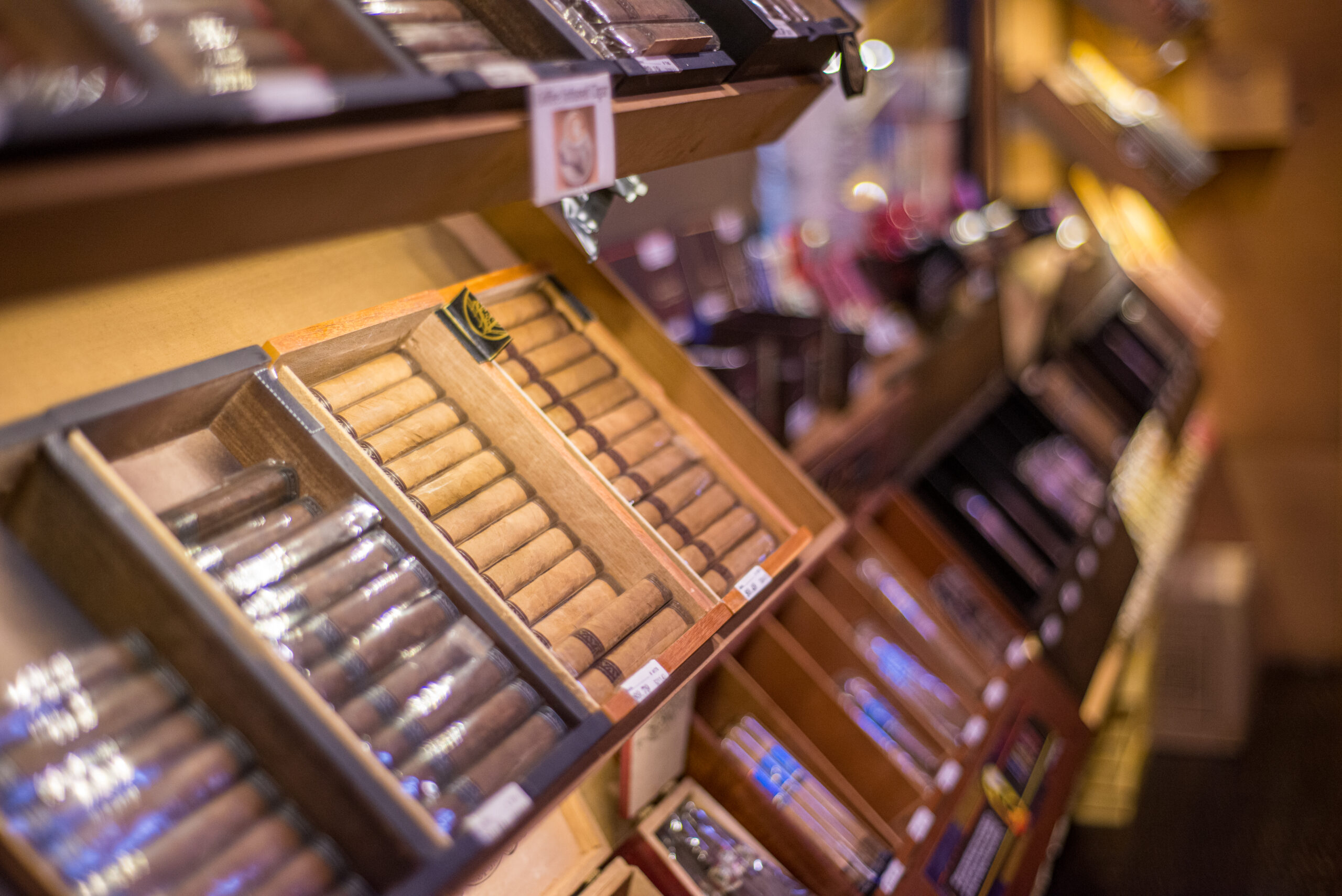 Display of Cigars inside a Humidor